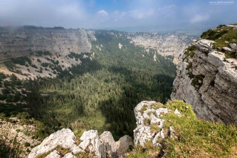 Jura adı tesadüf değil: Dünya tarihindeki Jura dönemi ismini İsviçre’den alıyor