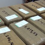 Ticino merkezli uyuşturucu şebekesi çökertildi