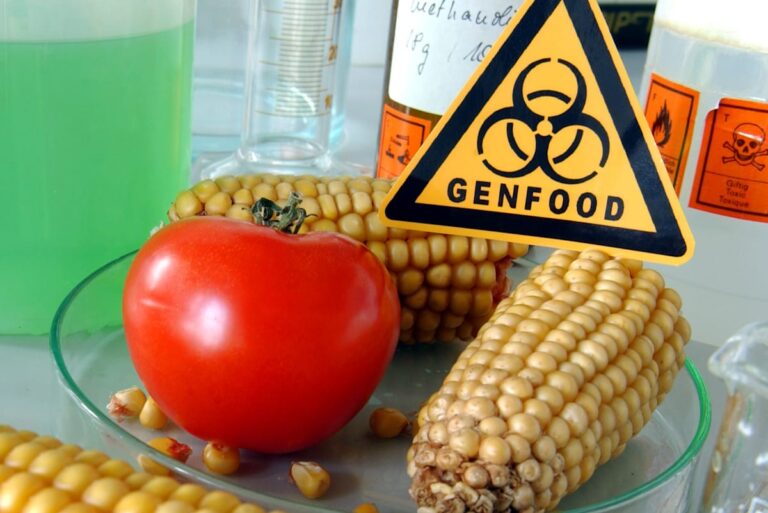 İsviçre’de GDO karşıtı girişim 133 bin imza topladı