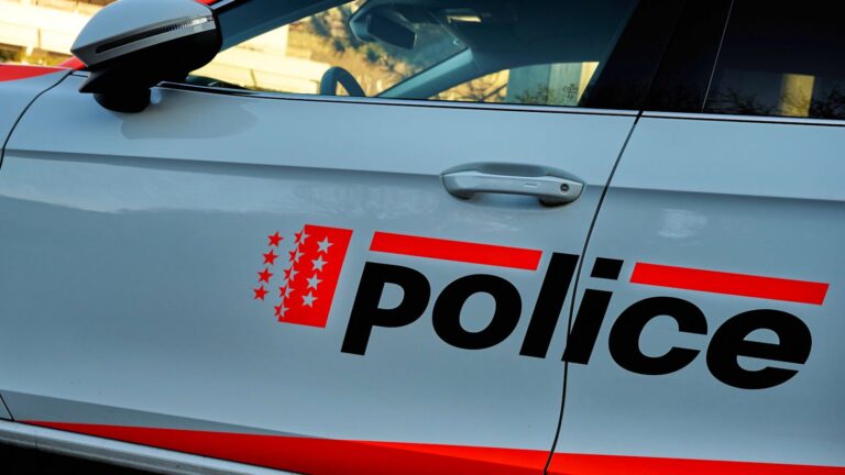 Valais’de 30 hırsızlık ve hırsızlık girişimi aydınlatıldı