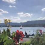 İsviçre’de bahar her yıl daha erken başlıyor