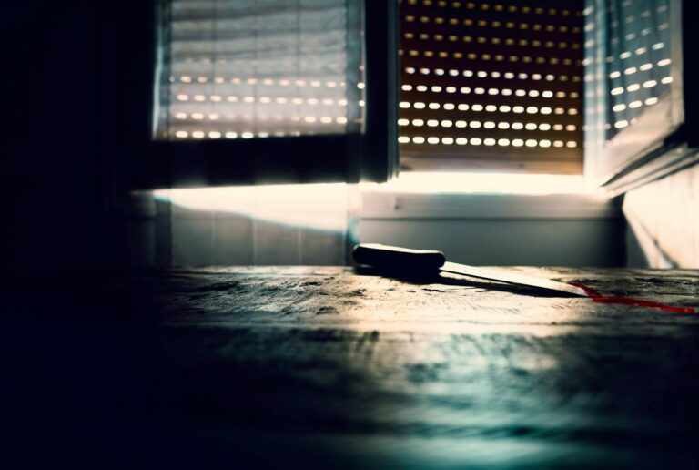 2025’te İsviçre’de öldürülenlerin çoğunluğu kadın