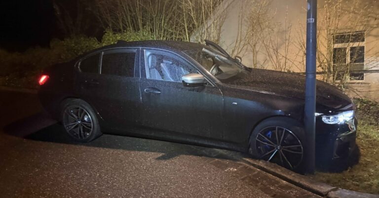 Çalıntı BMW ile kaza yaptılar: İki Fransız zanlı yakalandı