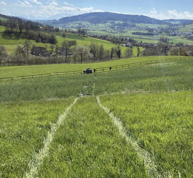 Zetzwil’de trafik kazası: 71 yaşındaki kadın hayatını kaybetti