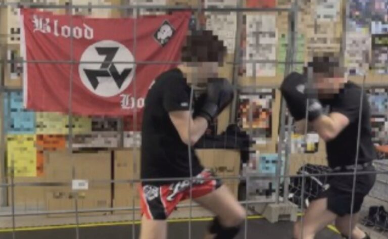 İsviçre’de Neonazi ağlarının propagandası yayılıyor