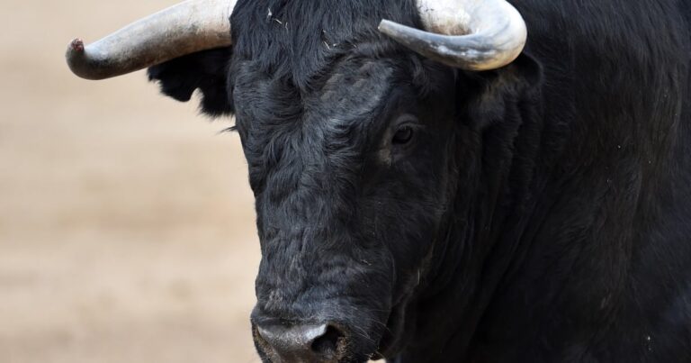 İsviçre’de iki ayrı iş kazasında iki kişi hayatını kaybetti