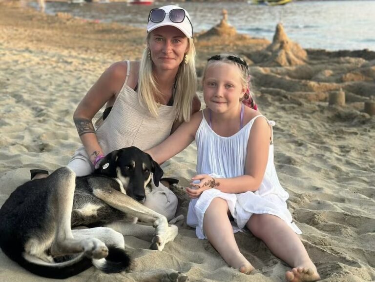 Türkiye’deki sokak köpeği uzun prosedürün ardından İsviçre’ye ulaştı