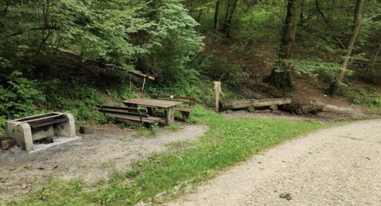 Liestal’de barbekü alanında şiddet: Türk vatandaşı saldırıda yaralandı
