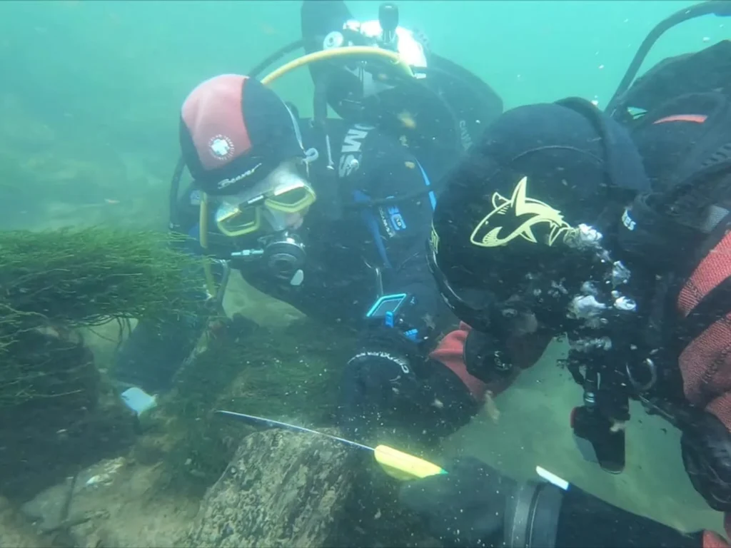 Solothurn’da 1700 yıllık Roma köprüsü kalıntıları bulundu
