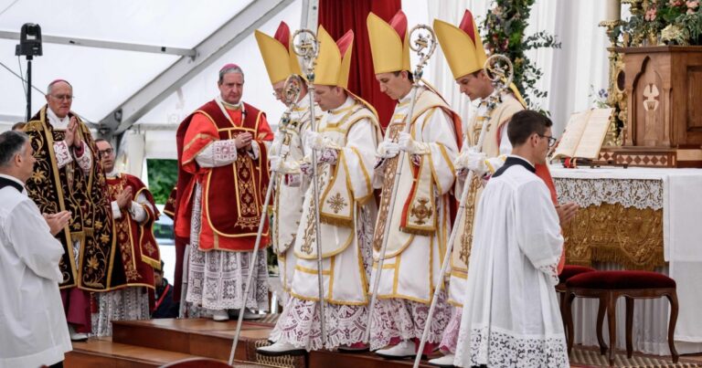 Papa Pius Kardeşliğini kiliseden çıkardı