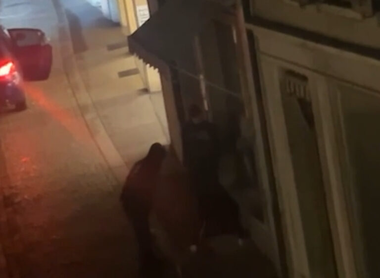 Solothurn’da silah dükkânı soygununda polis ateş açtı