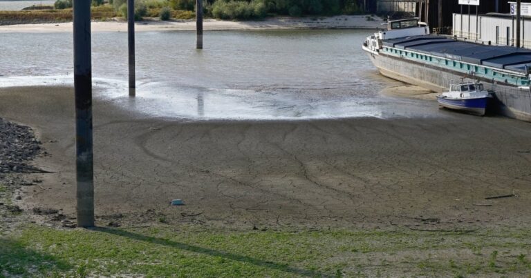 Ren Nehri’ndeki kuraklık ekonomiyi tehdit ediyor