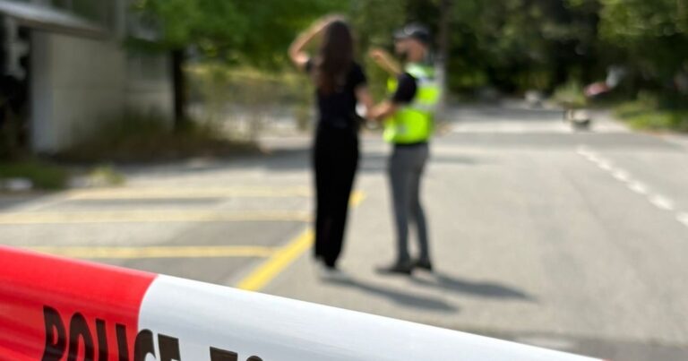 Valais’de iş kazası: Kamyon şoförü vincin altında hayatını kaybetti