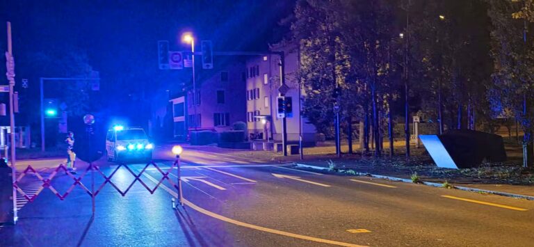 Aarau saldırısının şüphelisi uzun süredir şizofreni tedavisi görmüyormuş