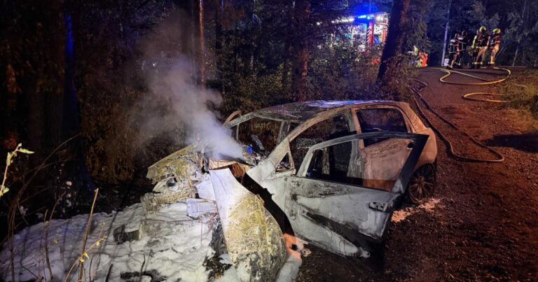Aargau’da otomobil ağaca çarptı, ardından alev aldı