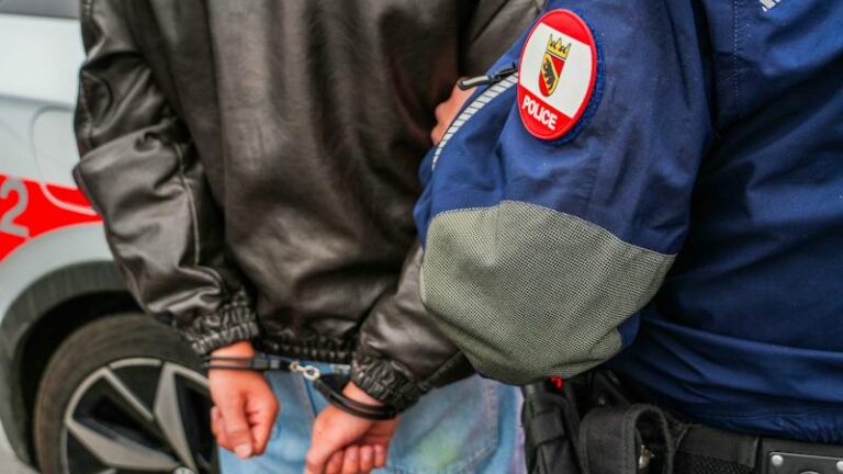 Bern’de iki kişi 85 hırsızlıkla suçlanıyor